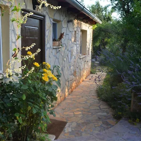 Holiday Stone Corner רוביני