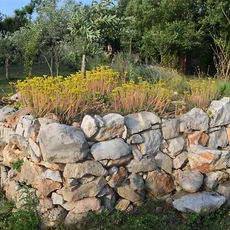 Holiday Stone Corner בית נופש רוביני